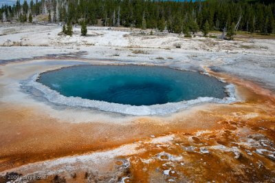 Crested Pool