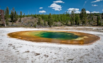 Beauty Pool