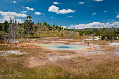 Old Faithful Area
