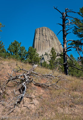 Devils Tower