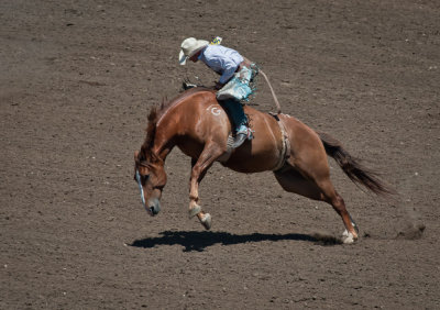 20100718_Salinas Rodeo_012.jpg