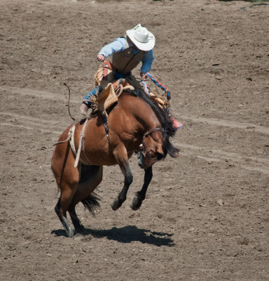 20100718_Salinas Rodeo_162.jpg