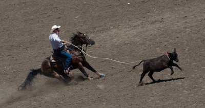 20100718_Salinas Rodeo_089.jpg