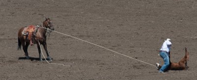 20100718_Salinas Rodeo_110.jpg