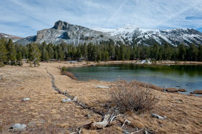 Lion Head and Mount Dana