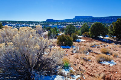 Natural Bridges National Monument