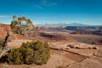 Dead Horse Point State Park