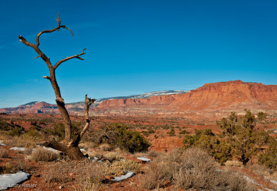 Capitol Reef National Park