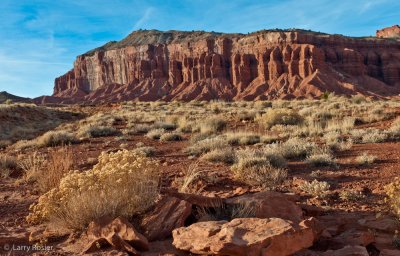 Capitol Reef National Park