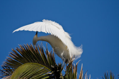 Baylands-1.jpg
