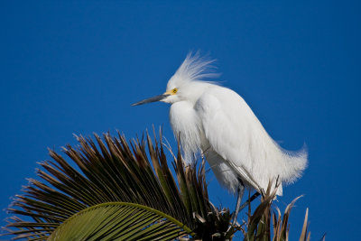 Baylands-2.jpg