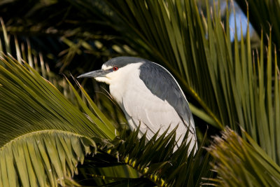 Baylands-3.jpg