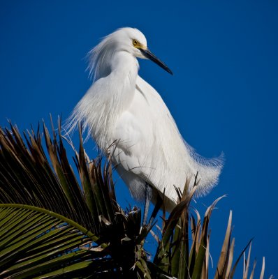 Baylands-10.jpg