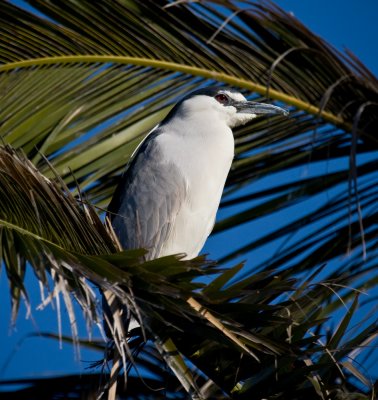 Baylands-11.jpg