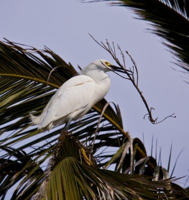 Baylands-16.jpg