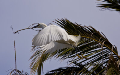 Baylands-17.jpg