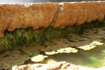 Havasupai04001.jpg