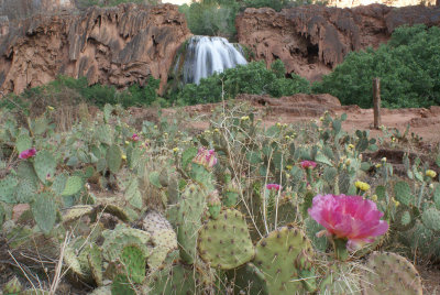 Havasupai07001.jpg