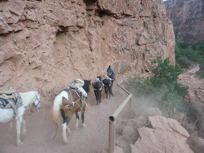 Havasupai32001.jpg
