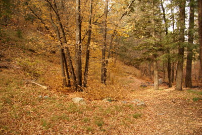 DSC08157.JPG