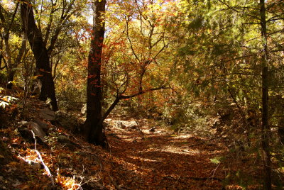 Miller Canyon_0051.JPG