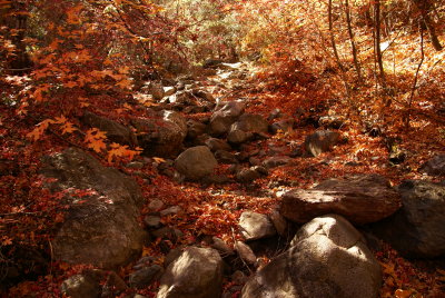 Miller Canyon_0082.JPG