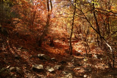 Miller Canyon_0091.JPG