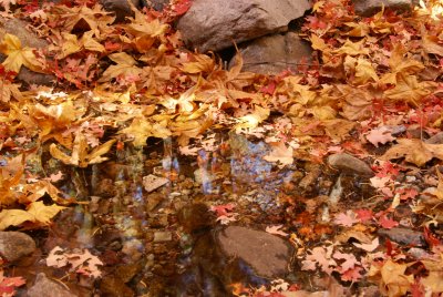 Miller Canyon_0125a.jpg