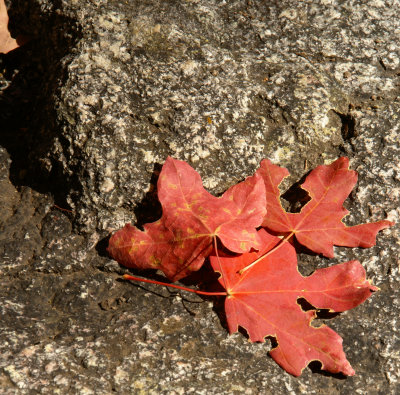 Miller Canyon_0129 copy.jpg