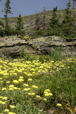 _DSC0902.JPG