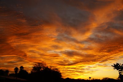 sunsets