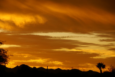 DSC01751.JPG