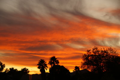 DSC08263.JPG