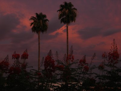 PICT6550.JPG