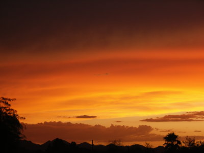 PICT6558.JPG