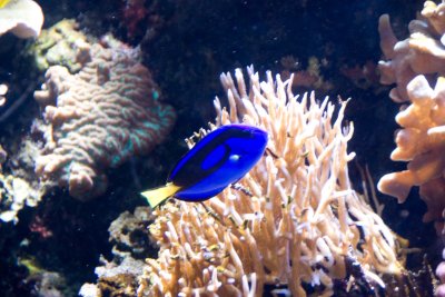 Monterey_003.JPG