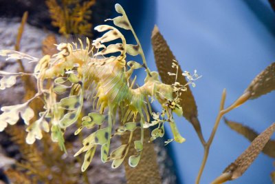 Monterey_010.JPG