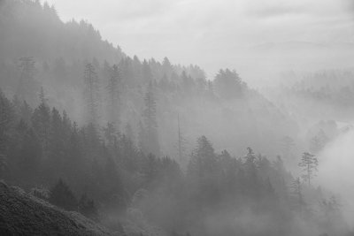 _DSC5278.jpg