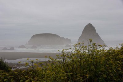 _DSC5421.JPG