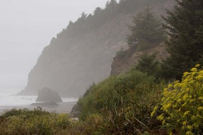 _DSC5423.JPG