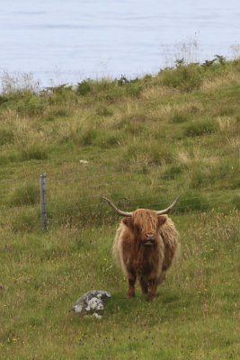 Isle of Skye