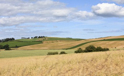 Scotland fields