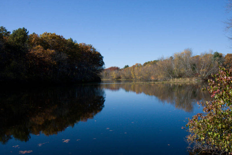 Fall_MA-03.jpg