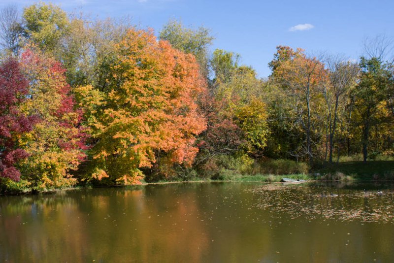 Fall_MA-09.jpg