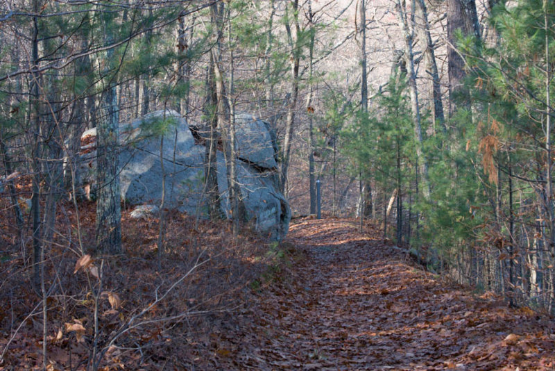 Fall_MA-13.jpg