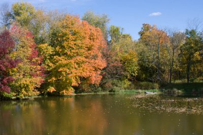 Fall_MA-09.jpg