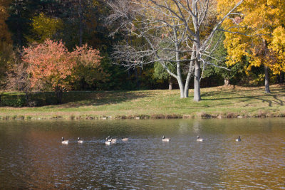 Fall_MA-10.jpg