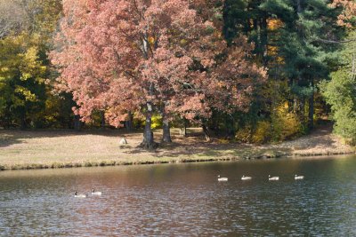 Fall_MA-11.jpg