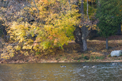 Fall_MA-12.jpg