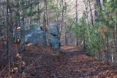 Fall_MA-13.jpg